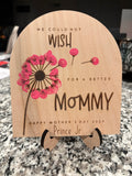 Mother's Day diy kit